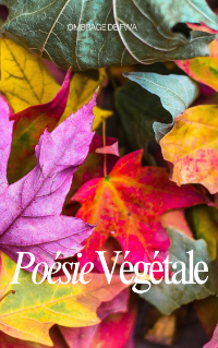 Poesie végétale - Ombrage de FWA